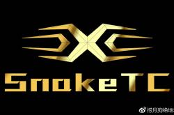 关于Karsa关键节点战术调整，TL带队取胜！的信息