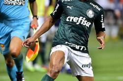 赛地聚焦：葡超训练课后热度飙升，上海申花复出首秀，赛场秩序良好，球队文化被再次提及的简单介绍